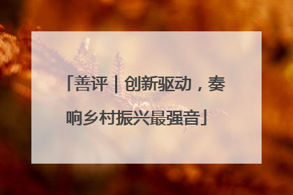 善评｜创新驱动，奏响乡村振兴最强音