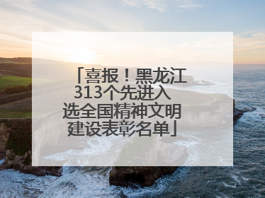 喜报！黑龙江313个先进入选全国精神文明建设表彰名单