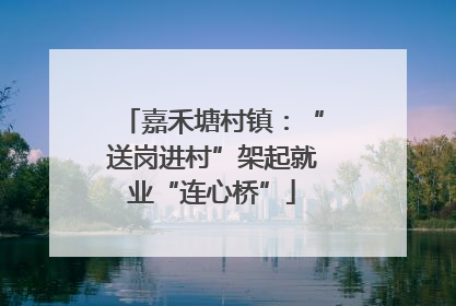 嘉禾塘村镇：“送岗进村”架起就业“连心桥”