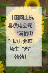 国网上杭县供电公司：“满格电”助力养殖场生“鸡”勃勃