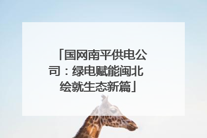 国网南平供电公司：绿电赋能闽北 绘就生态新篇