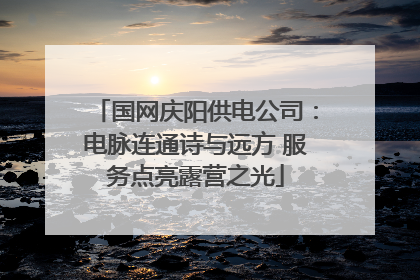 国网庆阳供电公司：电脉连通诗与远方 服务点亮露营之光