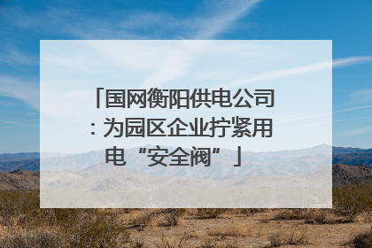 国网衡阳供电公司：为园区企业拧紧用电“安全阀”