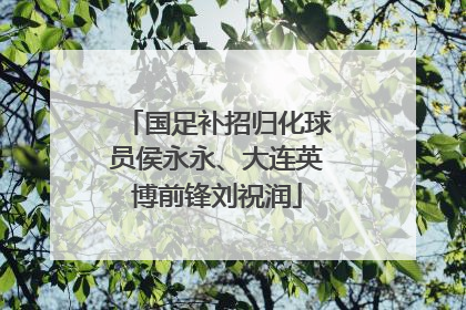 国足补招归化球员侯永永、大连英博前锋刘祝润