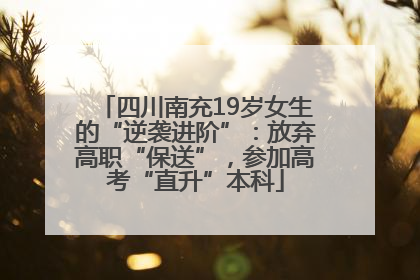 四川南充19岁女生的“逆袭进阶”：放弃高职“保送”，参加高考“直升”本科