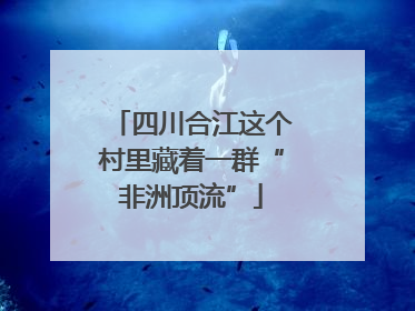 四川合江这个村里藏着一群“非洲顶流”