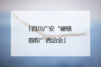 四川广安“硬核圈粉”西洽会