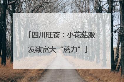 四川旺苍：小花菇激发致富大“蘑力”