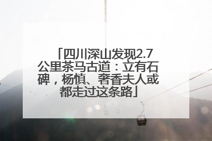 四川深山发现2.7公里茶马古道：立有石碑，杨慎、奢香夫人或都走过这条路