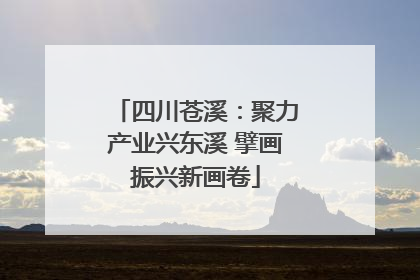 四川苍溪：聚力产业兴东溪 擘画振兴新画卷