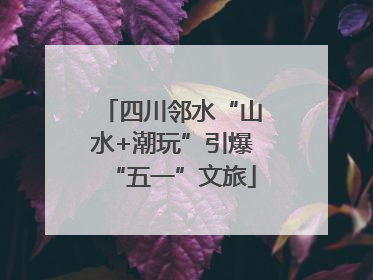 四川邻水“山水+潮玩”引爆“五一”文旅
