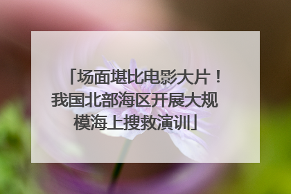 场面堪比电影大片！我国北部海区开展大规模海上搜救演训