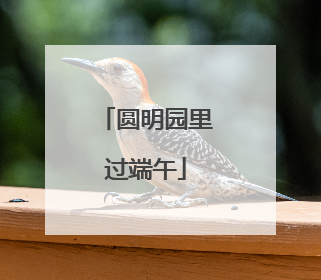 圆明园里过端午