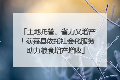 土地托管、省力又增产！获嘉县依托社会化服务助力粮食增产增收
