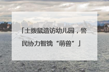 土拨鼠造访幼儿园，警民协力智擒“萌兽”