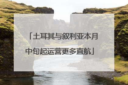 土耳其与叙利亚本月中旬起运营更多直航