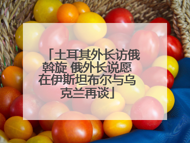 土耳其外长访俄斡旋 俄外长说愿在伊斯坦布尔与乌克兰再谈