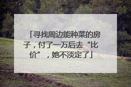 寻找周边能种菜的房子，付了一万后去“比价”，她不淡定了