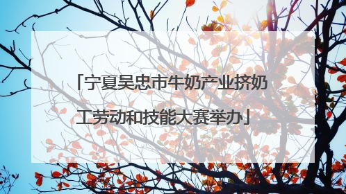 宁夏吴忠市牛奶产业挤奶工劳动和技能大赛举办