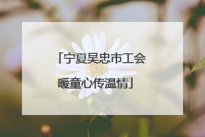 宁夏吴忠市工会暖童心传温情
