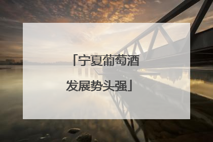 宁夏葡萄酒发展势头强