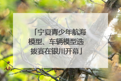 宁夏青少年航海模型、车辆模型选拔赛在银川开幕