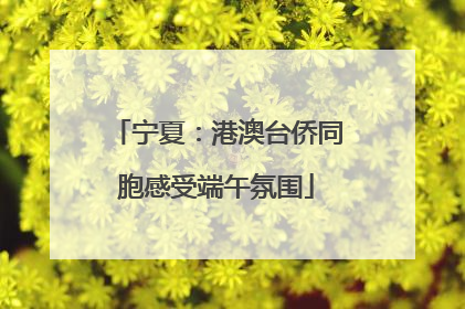 宁夏：港澳台侨同胞感受端午氛围