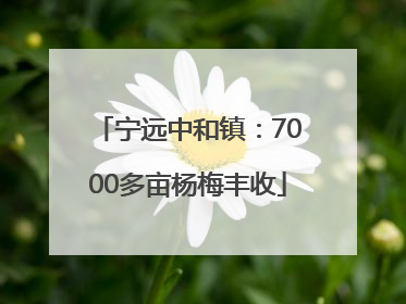宁远中和镇：7000多亩杨梅丰收
