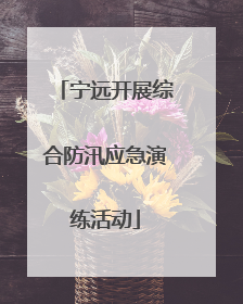 宁远开展综合防汛应急演练活动