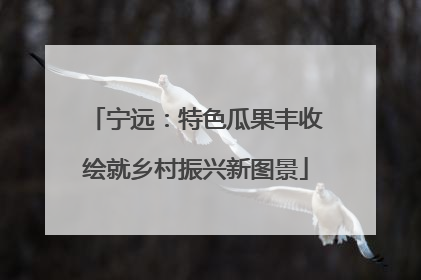 宁远：特色瓜果丰收绘就乡村振兴新图景