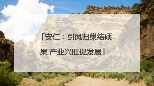 安仁：引凤归巢结硕果 产业兴旺促发展