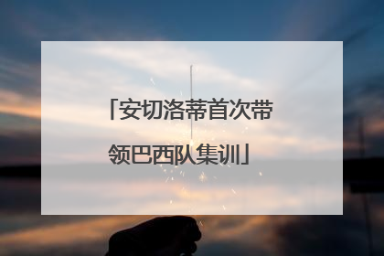 安切洛蒂首次带领巴西队集训