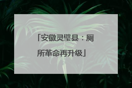 安徽灵璧县：厕所革命再升级