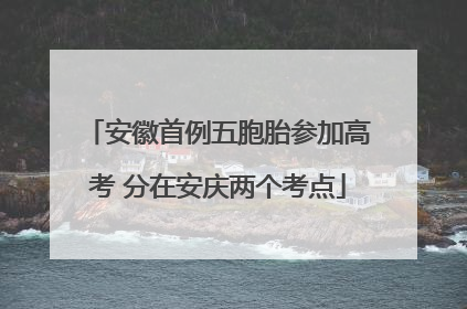安徽首例五胞胎参加高考 分在安庆两个考点