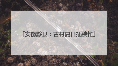 安徽黟县：古村夏日插秧忙