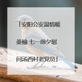 安阳公安温情暖桑榆 七一前夕慰问汤西村老党员