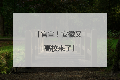 官宣！安徽又一高校来了