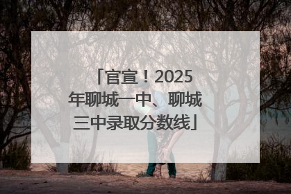 官宣！2025年聊城一中、聊城三中录取分数线