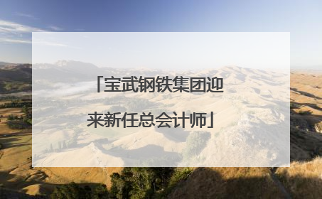 宝武钢铁集团迎来新任总会计师