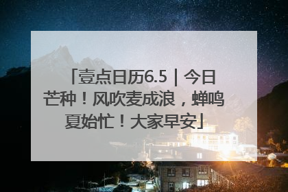 壹点日历6.5｜今日芒种！风吹麦成浪，蝉鸣夏始忙！大家早安