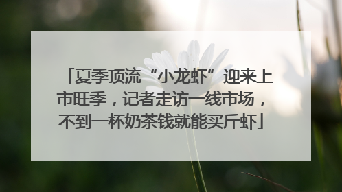夏季顶流“小龙虾”迎来上市旺季，记者走访一线市场，不到一杯奶茶钱就能买斤虾