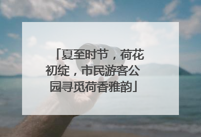 夏至时节，荷花初绽，市民游客公园寻觅荷香雅韵