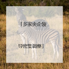多家央企领导密集调整