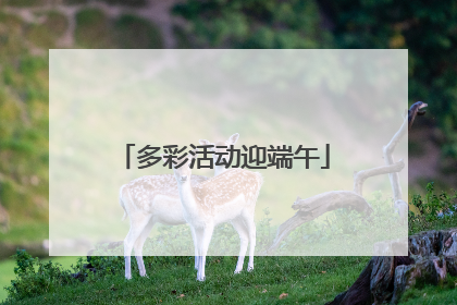 多彩活动迎端午