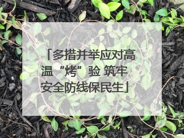 多措并举应对高温“烤”验 筑牢安全防线保民生