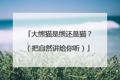 大熊猫是熊还是猫？（把自然讲给你听）