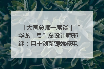 大国总师一席谈｜“华龙一号”总设计师邢继：自主创新铸就核电“国家名片”