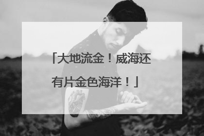 大地流金！威海还有片金色海洋！