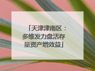 天津津南区：多维发力盘活存量资产增效益