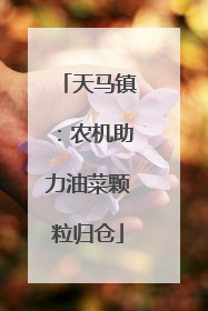 天马镇：农机助力油菜颗粒归仓